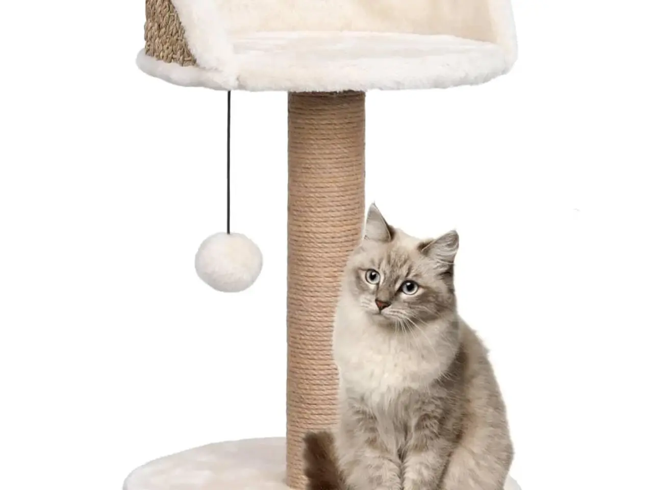 Billede 1 - Kattetræ med kradsestolpe 49 cm - søgræs, beige