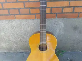 Guitar. Santana