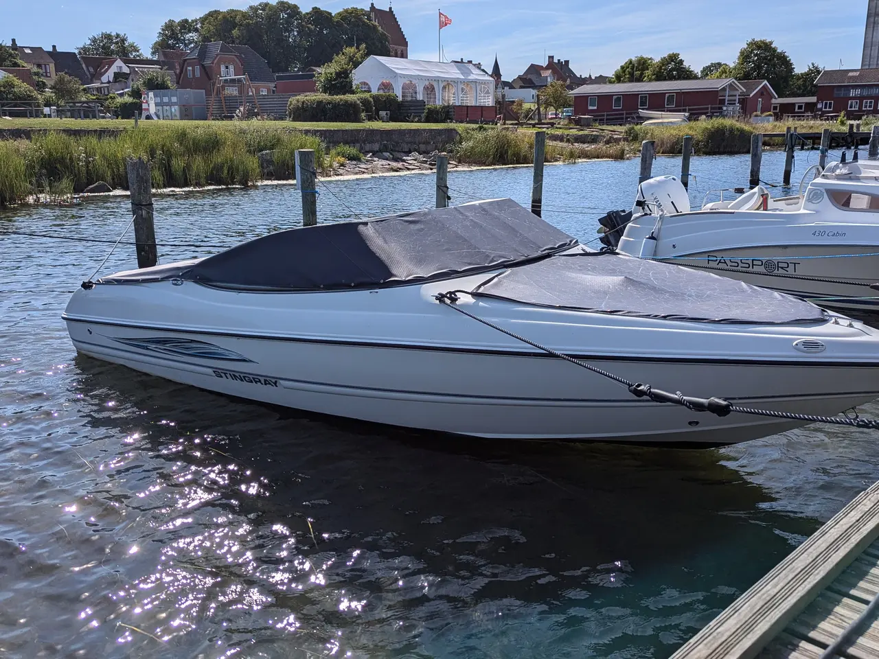 Billede 2 - Lækker Stingray bowrider