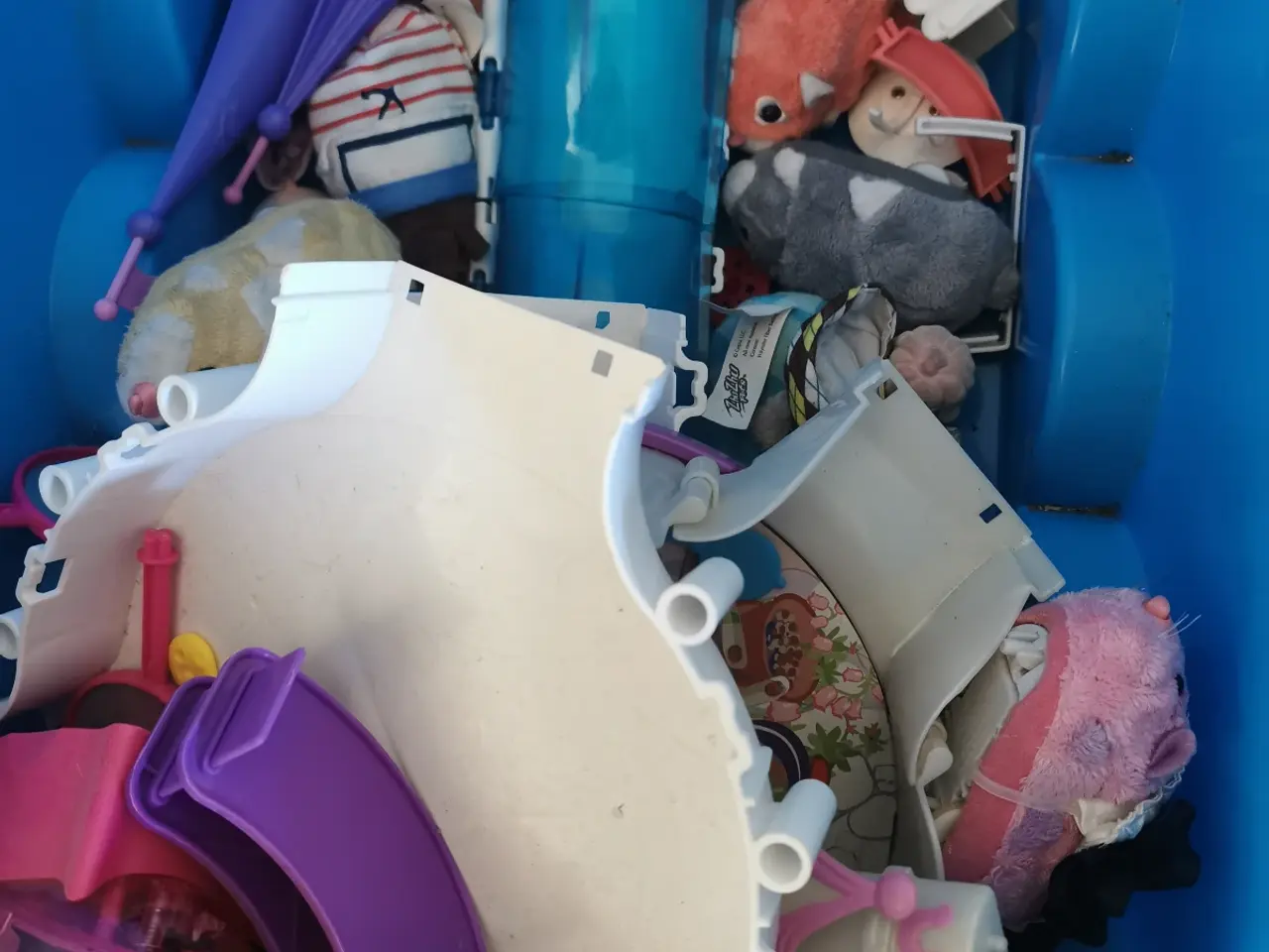 Billede 4 - Hamster med diverse tilbehør