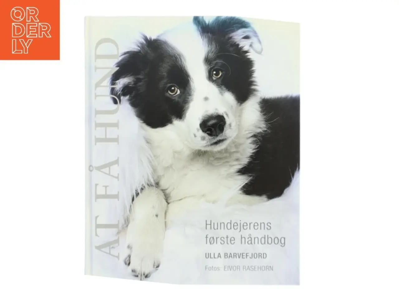 Billede 1 - At få hund : hundeejernes første håndbog af Ulla Barvefjord (Bog)