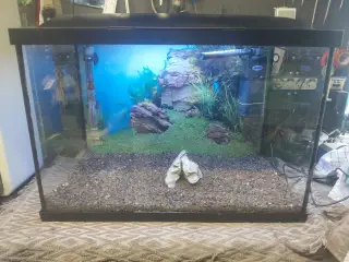 Akvarier 70L 