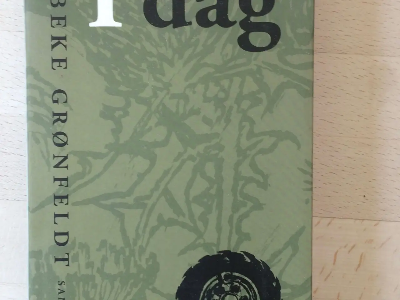 Billede 1 - I dag, Vibeke Grønfeldt
