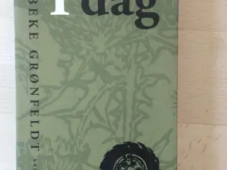 I dag, Vibeke Grønfeldt