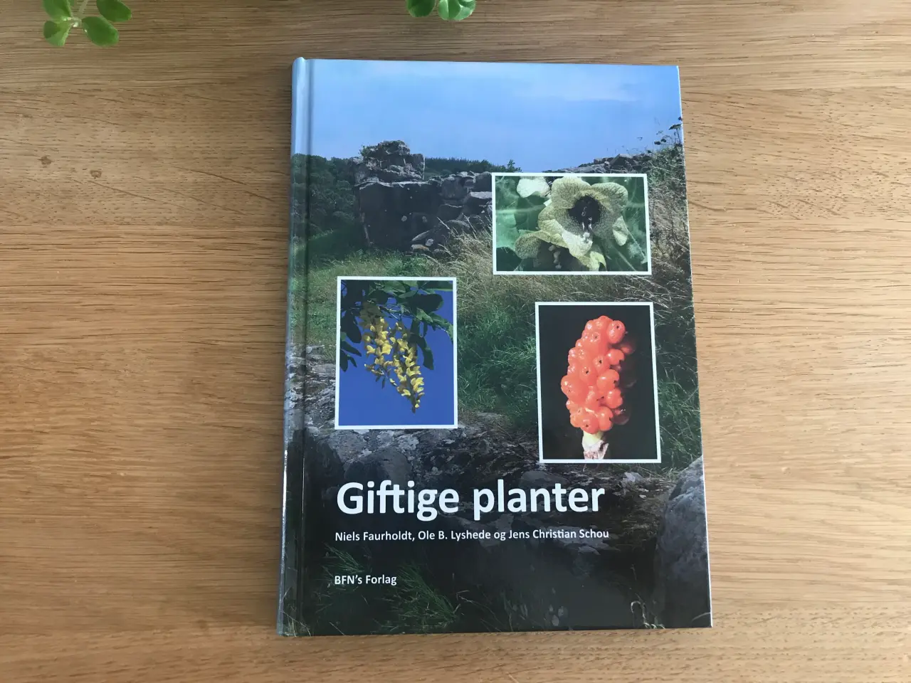 Billede 1 - Giftige planter af Niels Faurholdt m.fl.