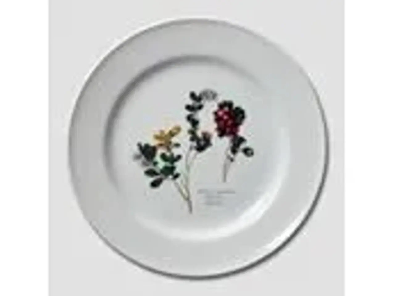 Billede 5 - Faxe Platter - Flora Danica - RETRO