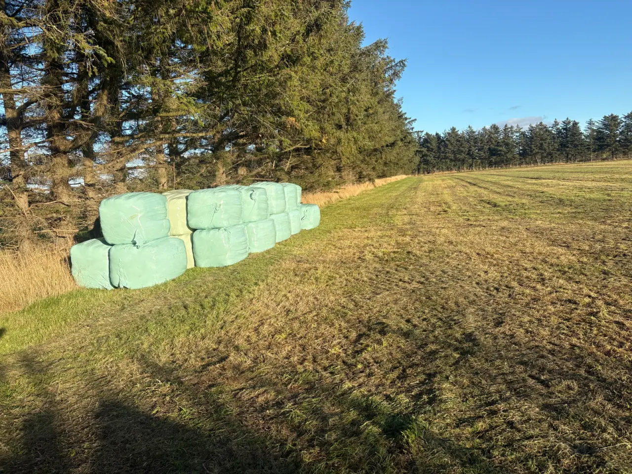 Billede 1 - Wrap