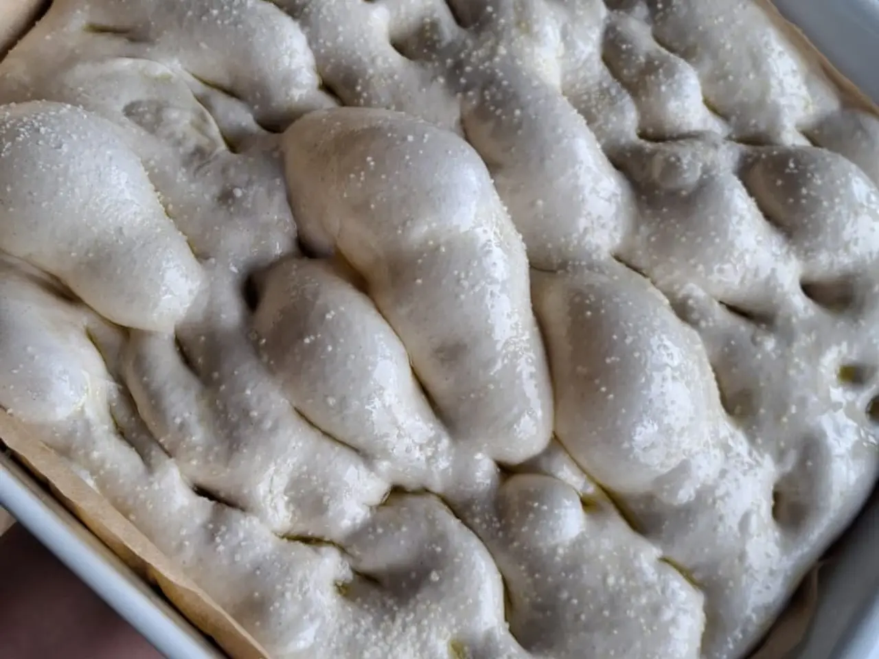 Billede 4 - Surdejsstarter til brødbagning + gratis focaccia-o