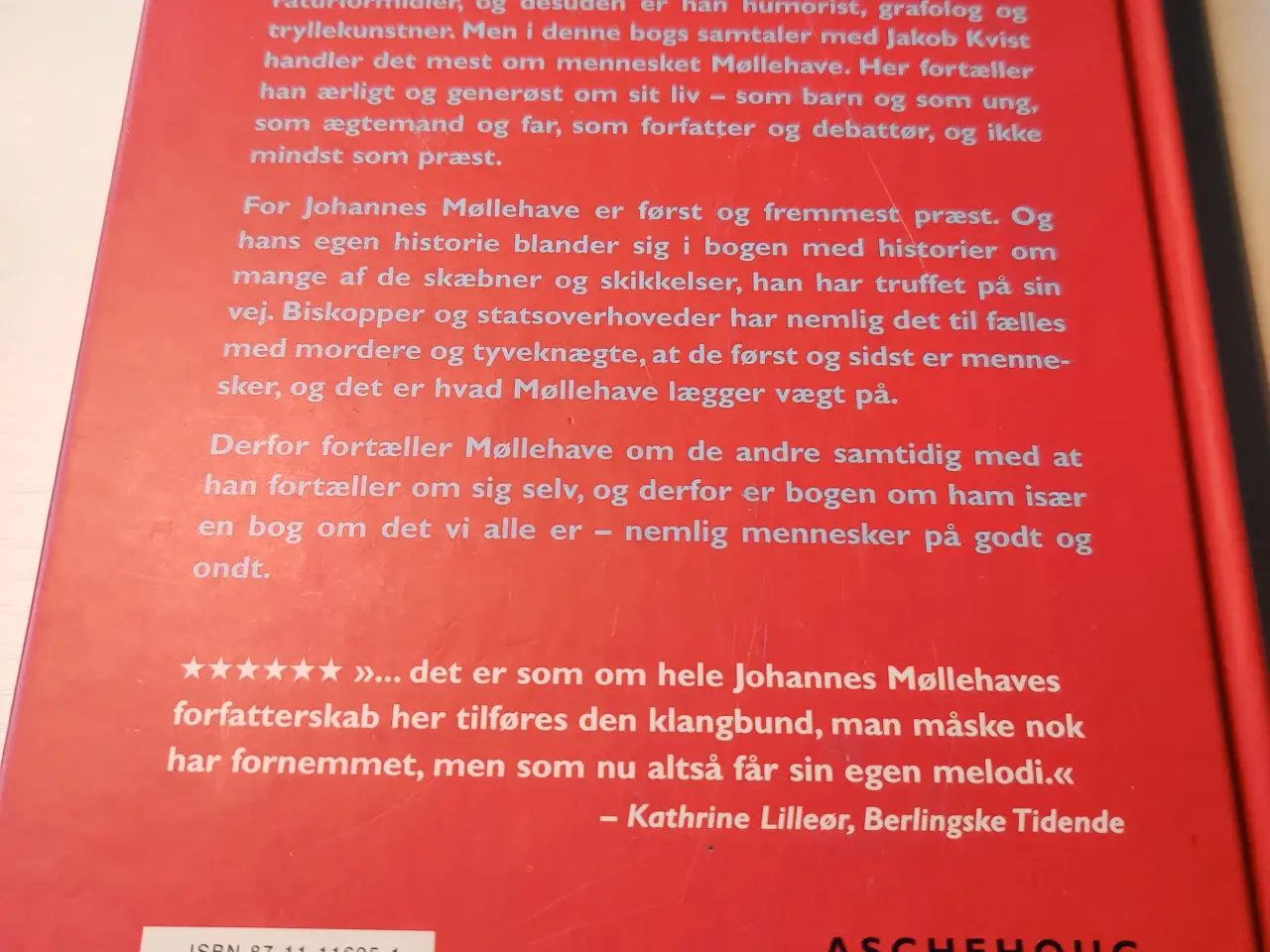 Billede 3 - MØLLEHAVE