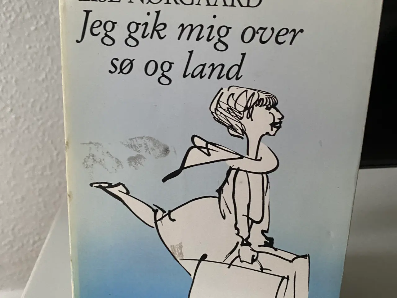 Billede 5 - Lise Nørgaard signerede