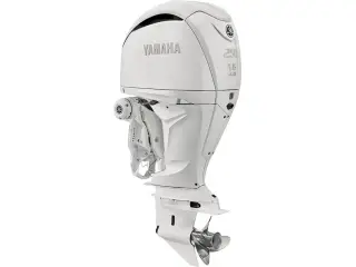 Yamaha F250XSB2