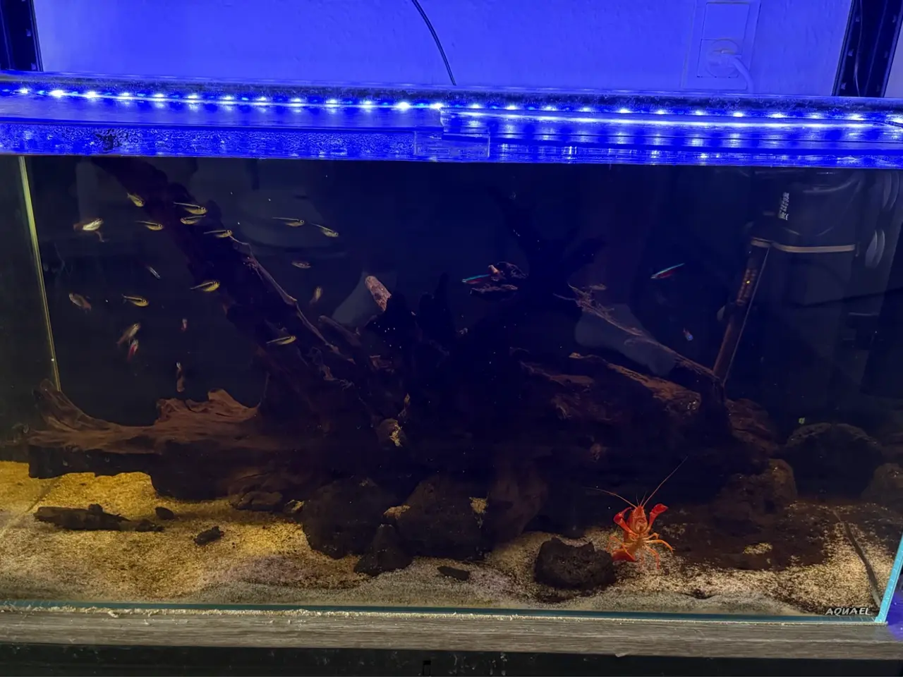 Billede 1 - Aquael Opti Tank 80 - 112L