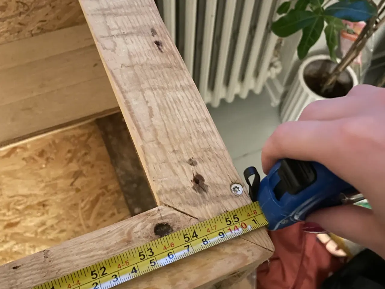 Billede 4 - Stort bur til hamster/gnaver