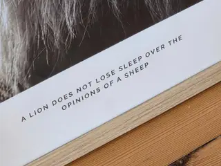 Løve plakat m. Citat I ny ramme
