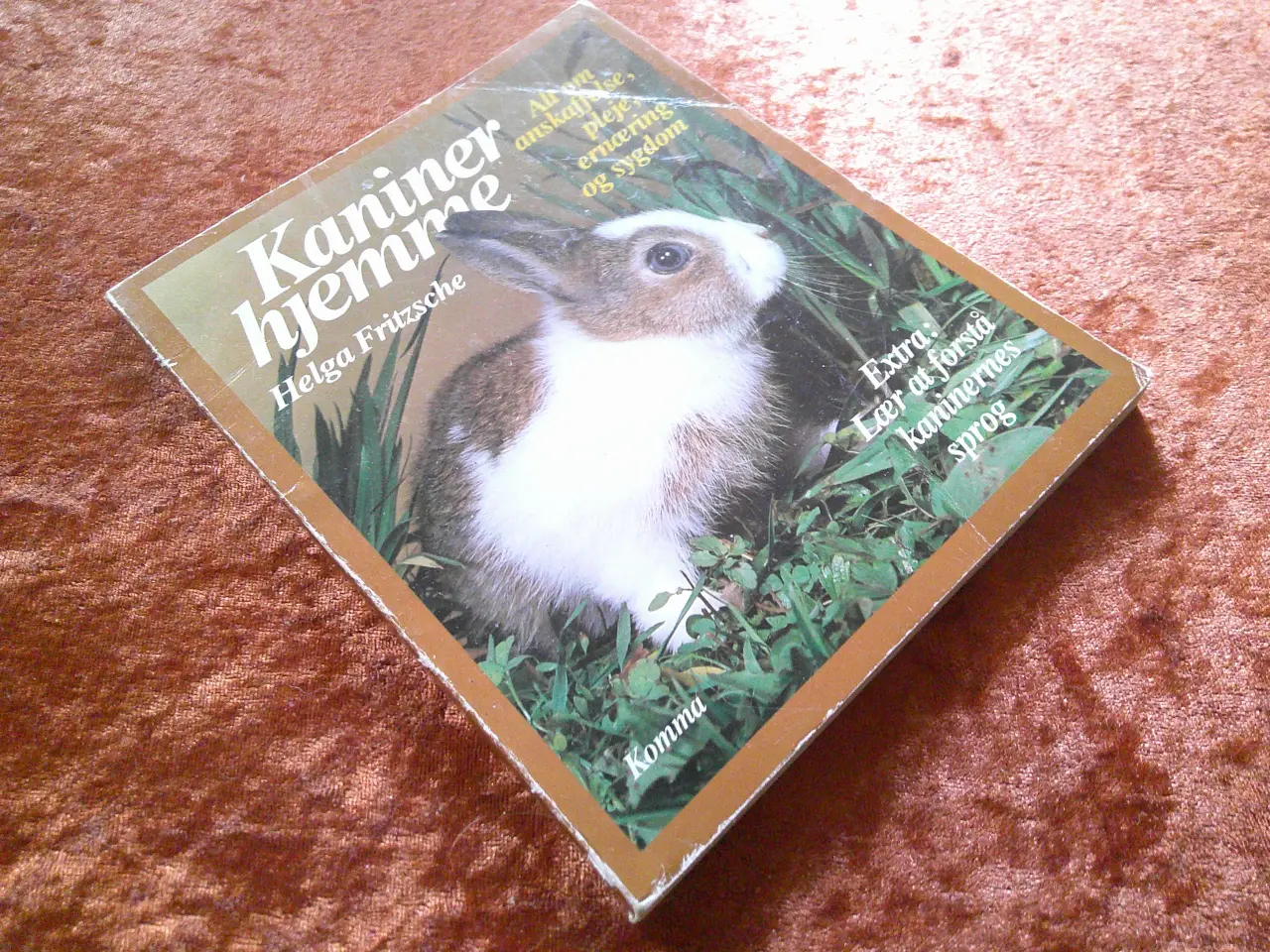 Billede 1 - Kaniner hjemme, Helga Fritzsche