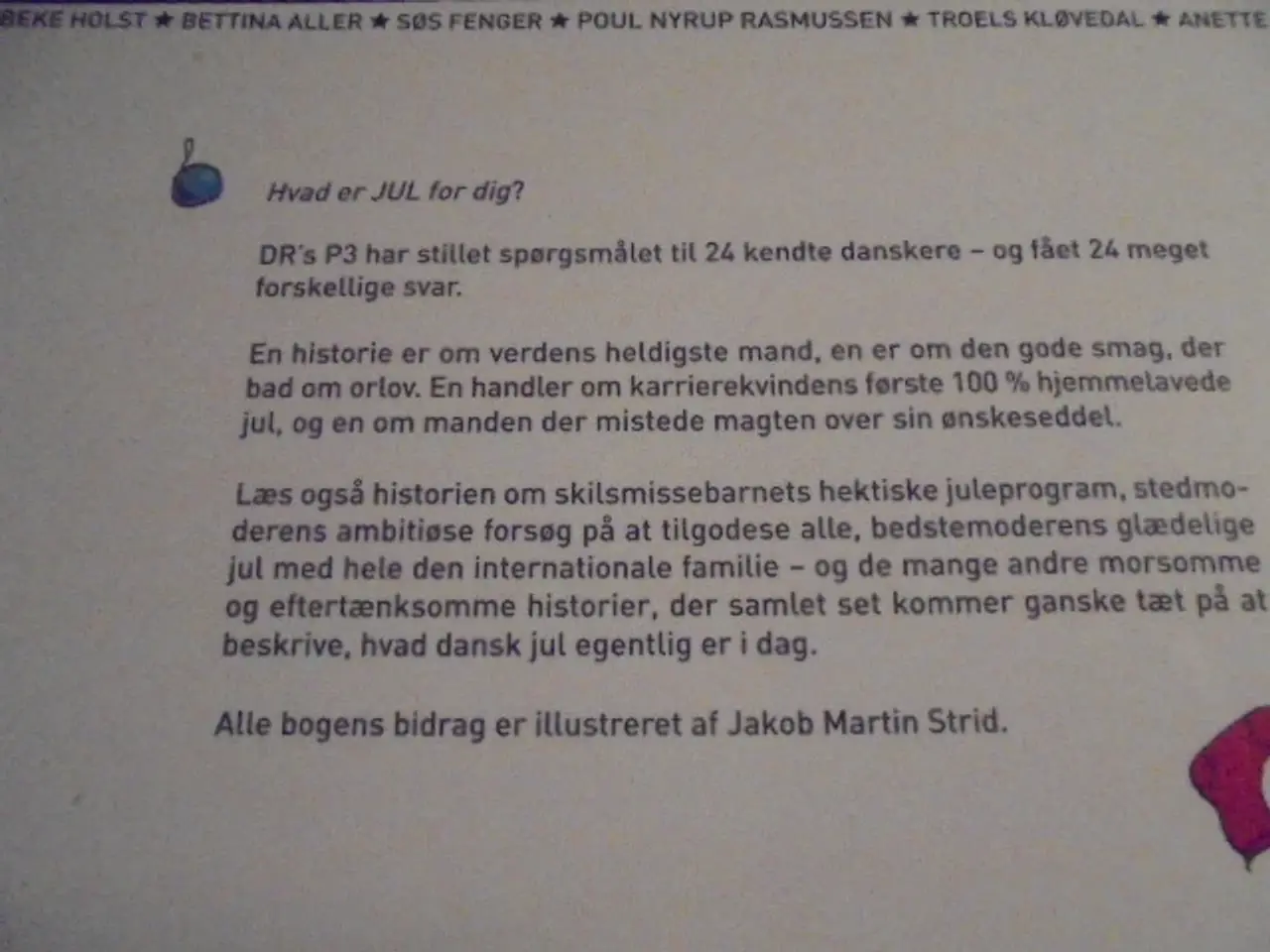 Billede 5 - P3’s julebog – Det bliver jo altid jul
