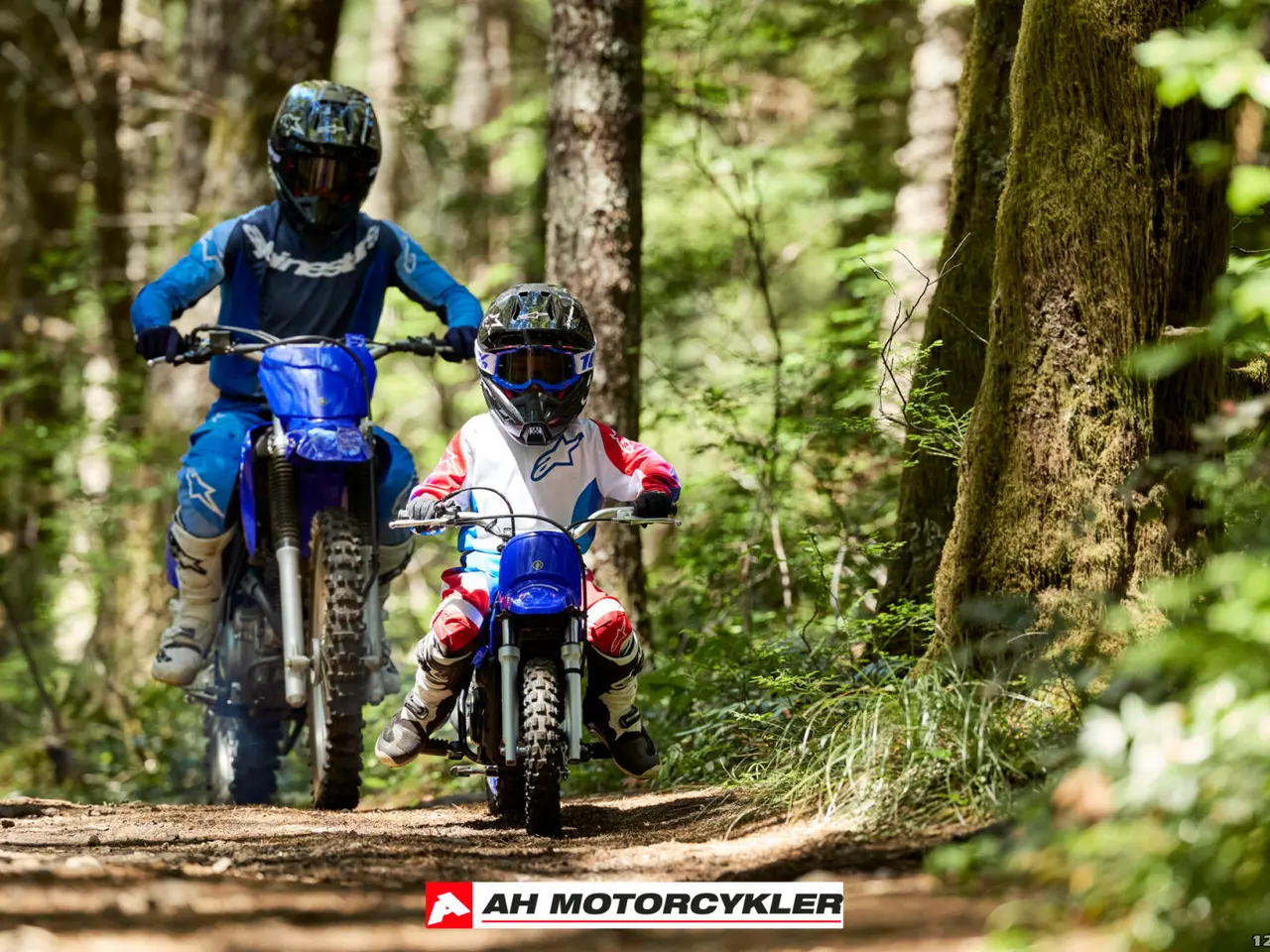 Billede 11 - Yamaha PW 50