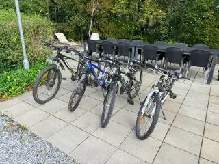 3 drengecykler mountainbikes