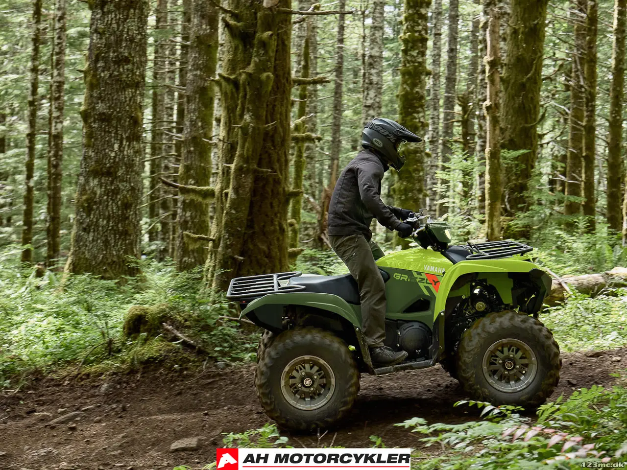 Billede 8 - Yamaha Grizzly 700 EPS
