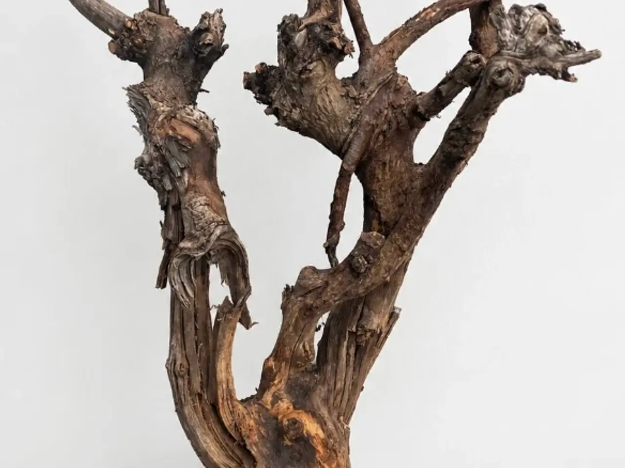 Billede 2 - Træ Skulptur