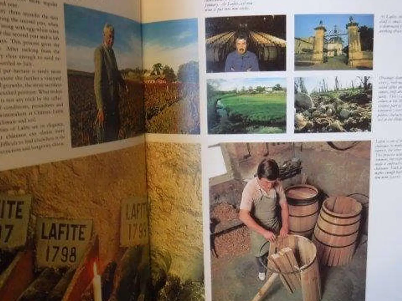 Billede 3 - Art of the Winemaker, Serena Sutcliffe (vin)
