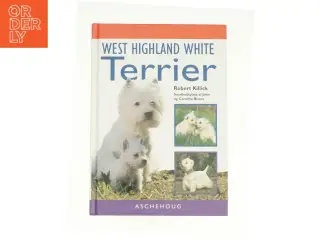 West hightland white terrier (bog)