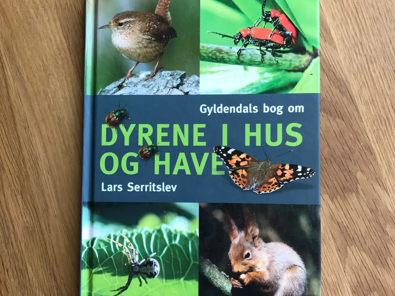 Billede 1 - Dyrene i hus og have - Gyldendals bog om ...