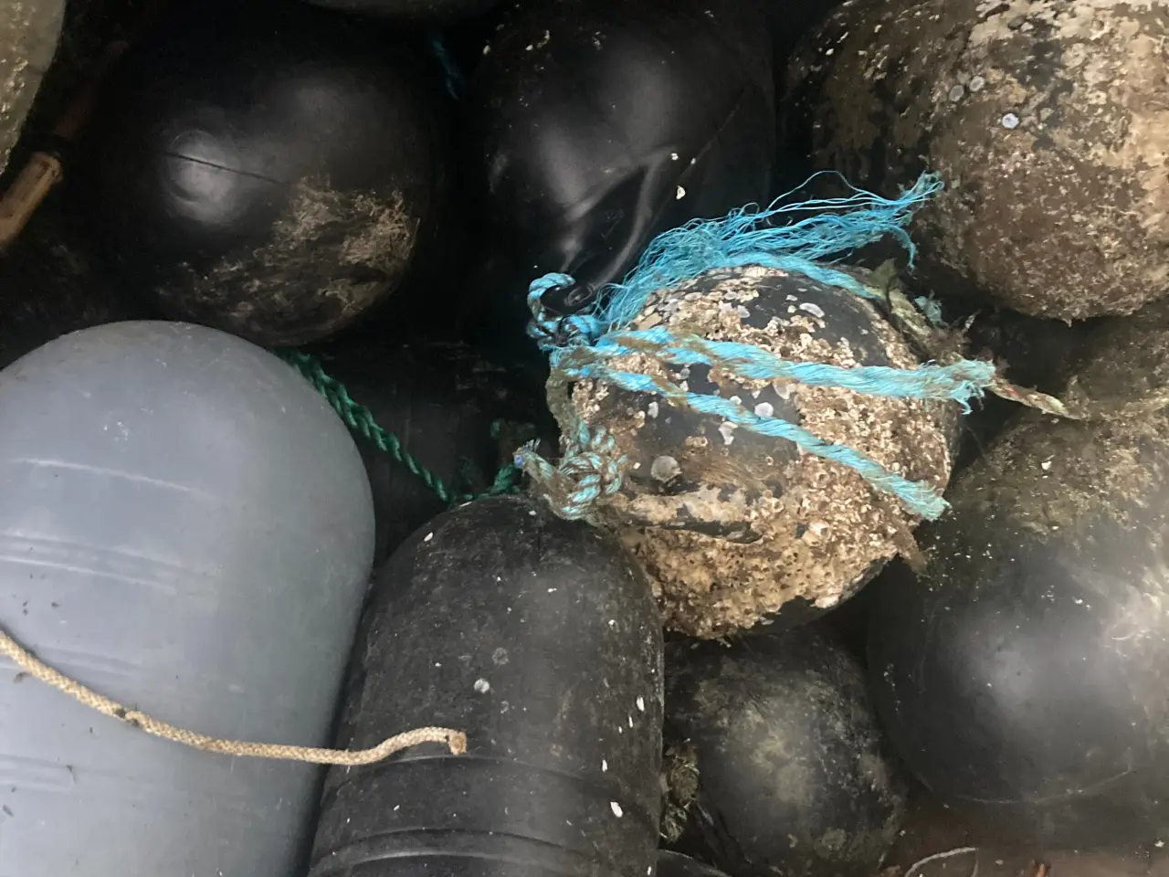 Billede 4 - Bøjer , Line bøje , fiskebøjer , badebro