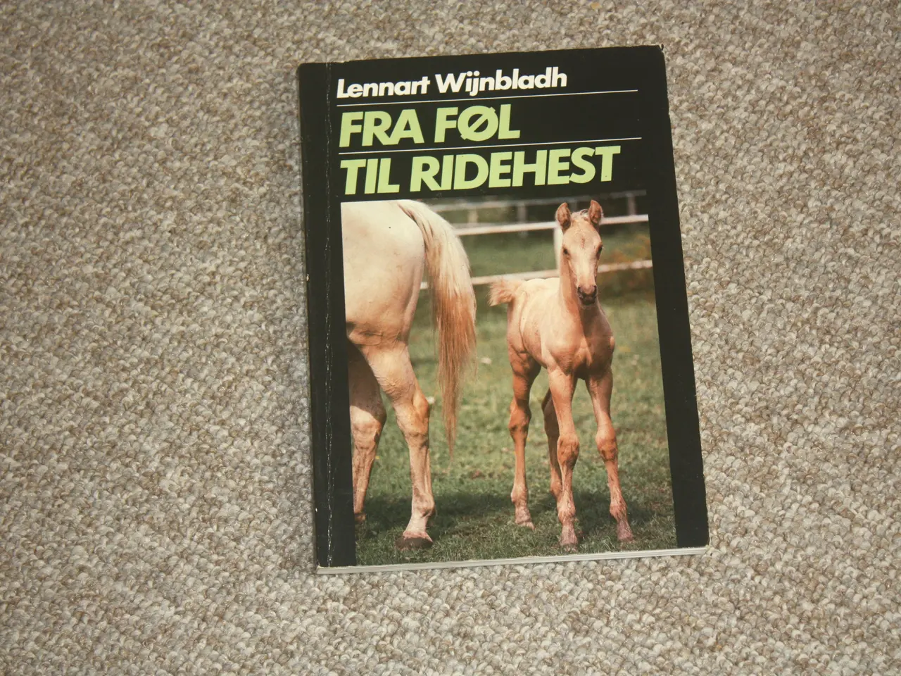 Billede 1 - Fra føl til ridehest af Lennart Wijnbladh
