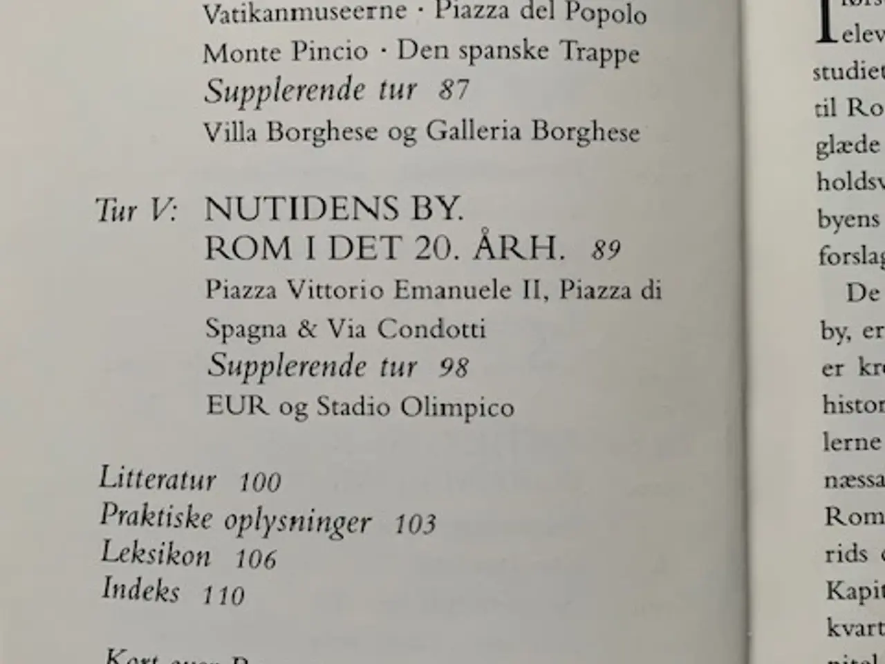 Billede 3 - Studietur Rom, Ole Laursen Vig og Henrik Fich