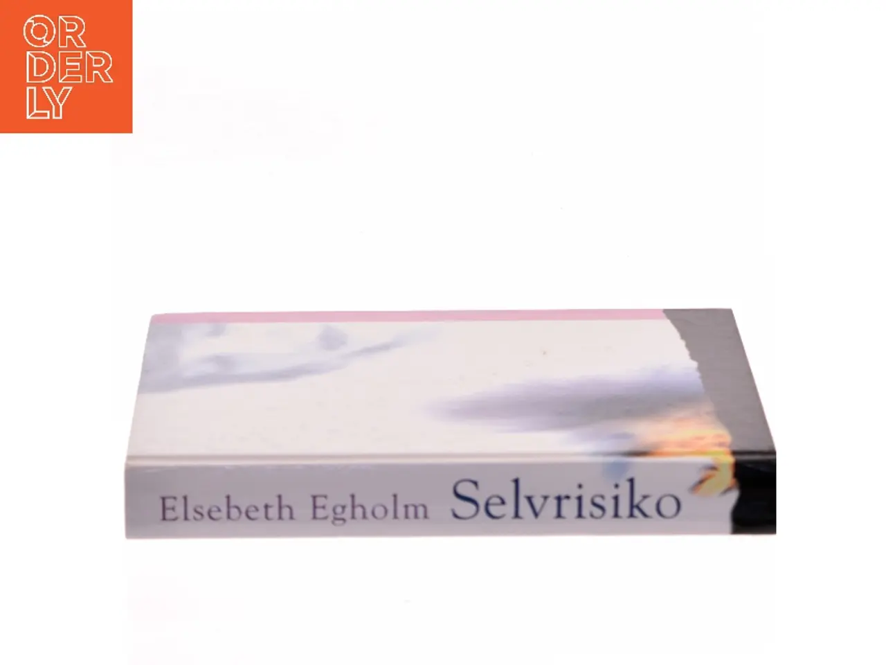 Billede 2 - Selvrisiko af Elsebeth Egholm (Bog)
