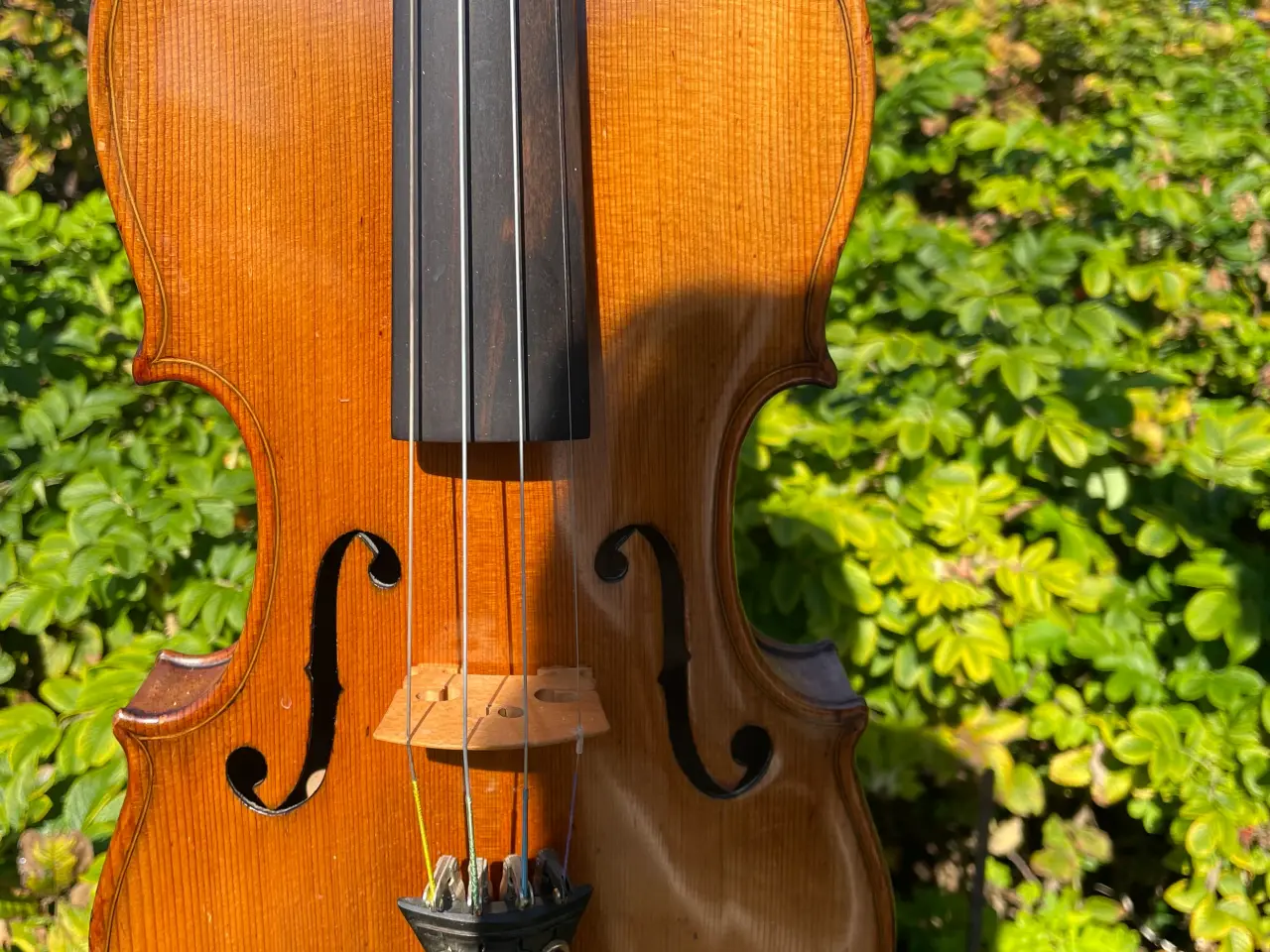 Billede 1 - Violin fra 1885