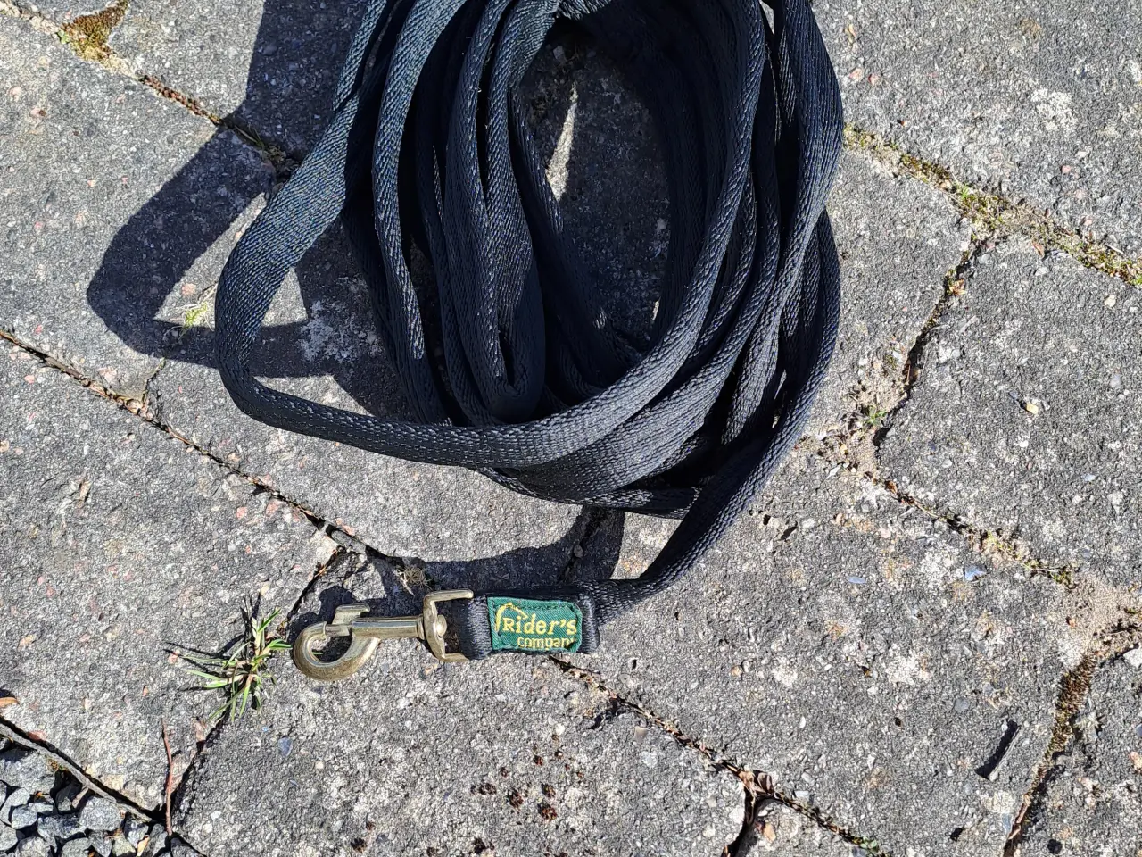 Billede 1 - Sort longetov til heste