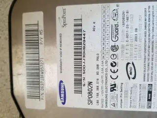 80GB 3.5" Samsung harddisk.