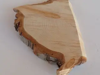 NY Thuja Træskive 26 cm - til juledekoration / DIY