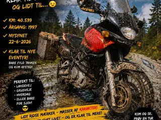 Suzuki XF 650 freewind
