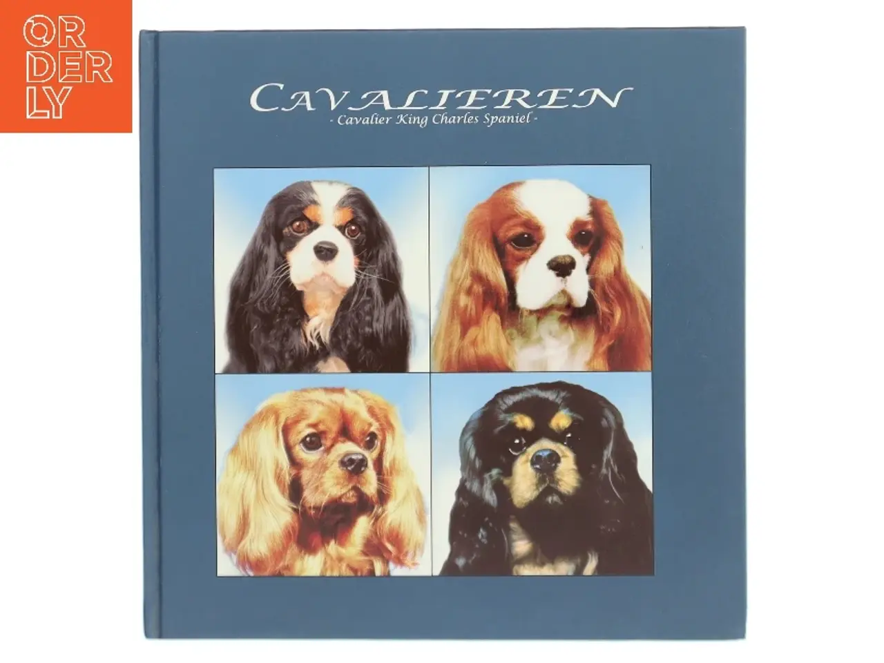 Billede 1 - Cavalieren af Ukendt (Bog)