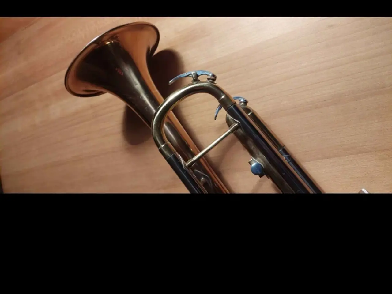 Billede 5 - Parrot trumpet 🎺