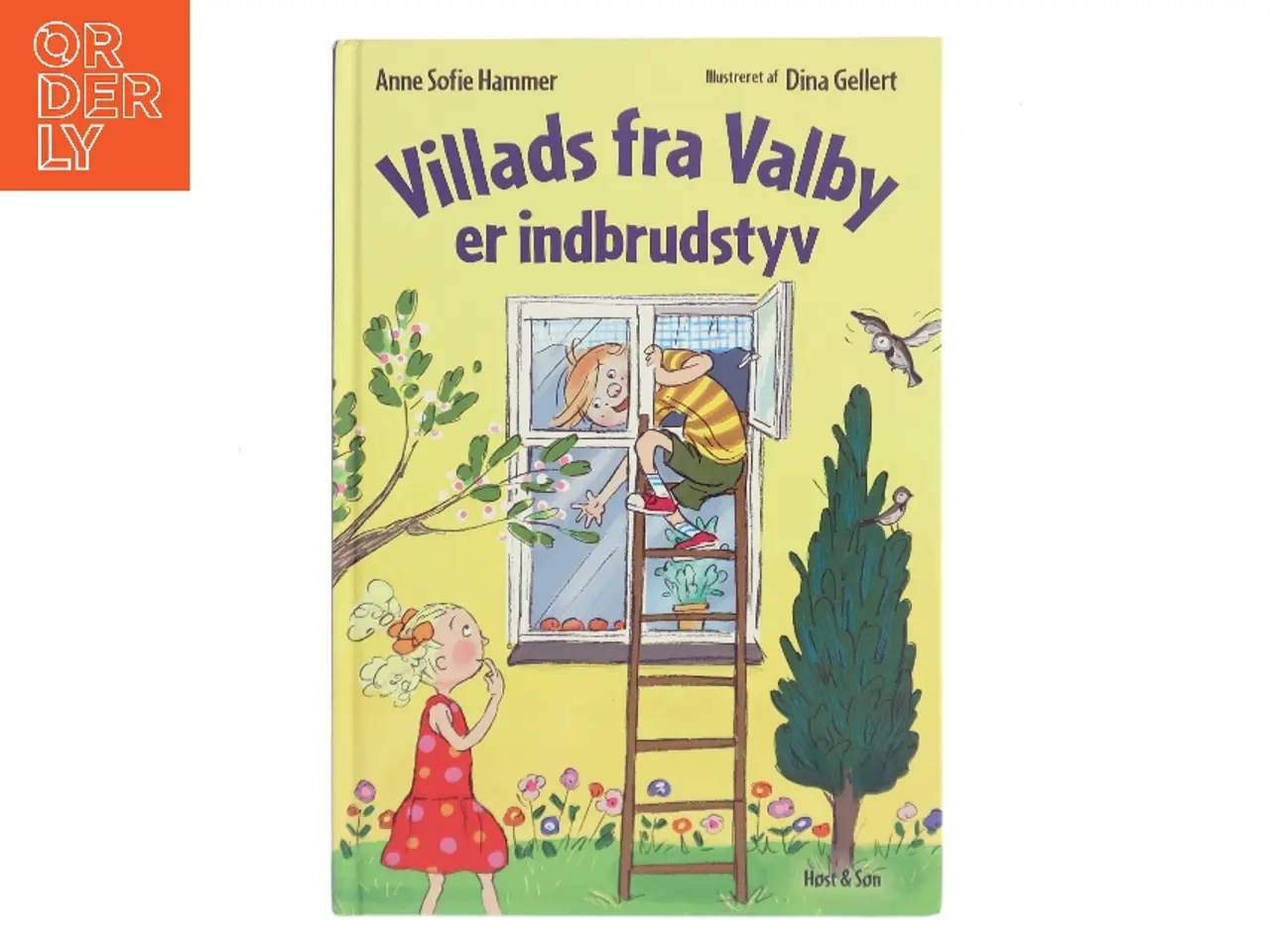 Billede 1 - Villads fra Valby er indbrudstyv af Anne Sofie Hammer (Bog)