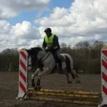 gorm1131