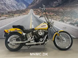 Harley-Davidson FXSTC SOFTAIL CUSTOM 1340 Evo