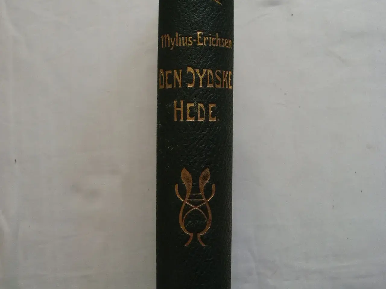 Billede 2 - Den Jydske Hede før og nu :