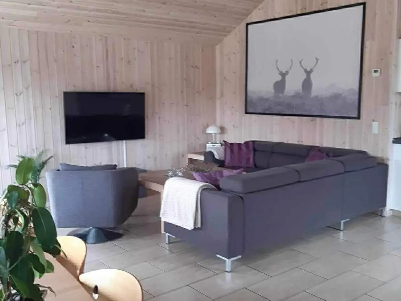 Billede 8 - Sommerhus udlejes …..hund tilladt