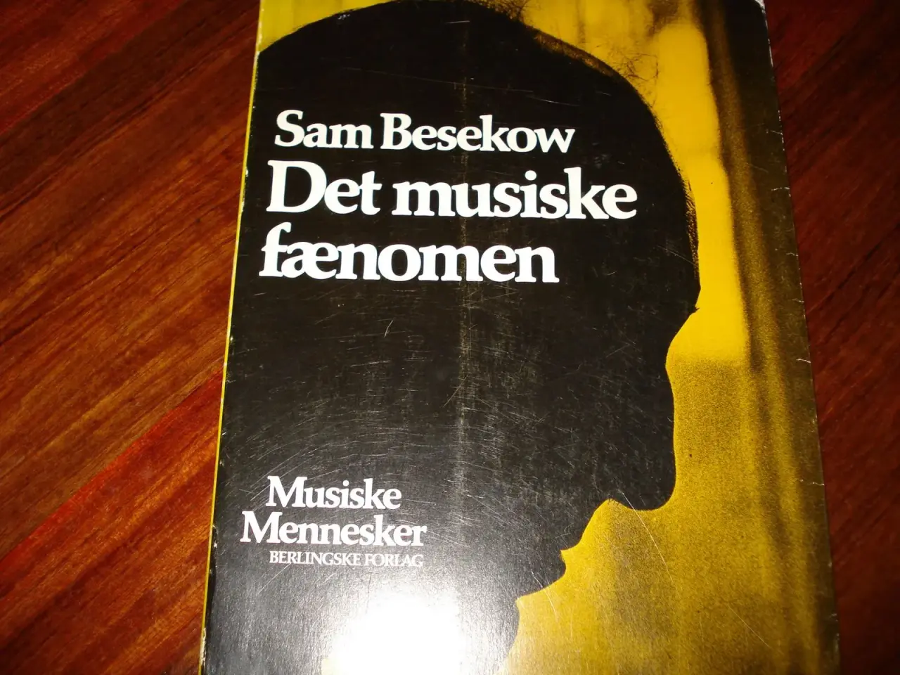 Billede 1 - Det musiske menneske .
