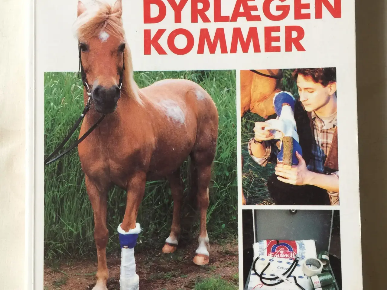 Billede 1 - Bog: Før dyrlægen kommer