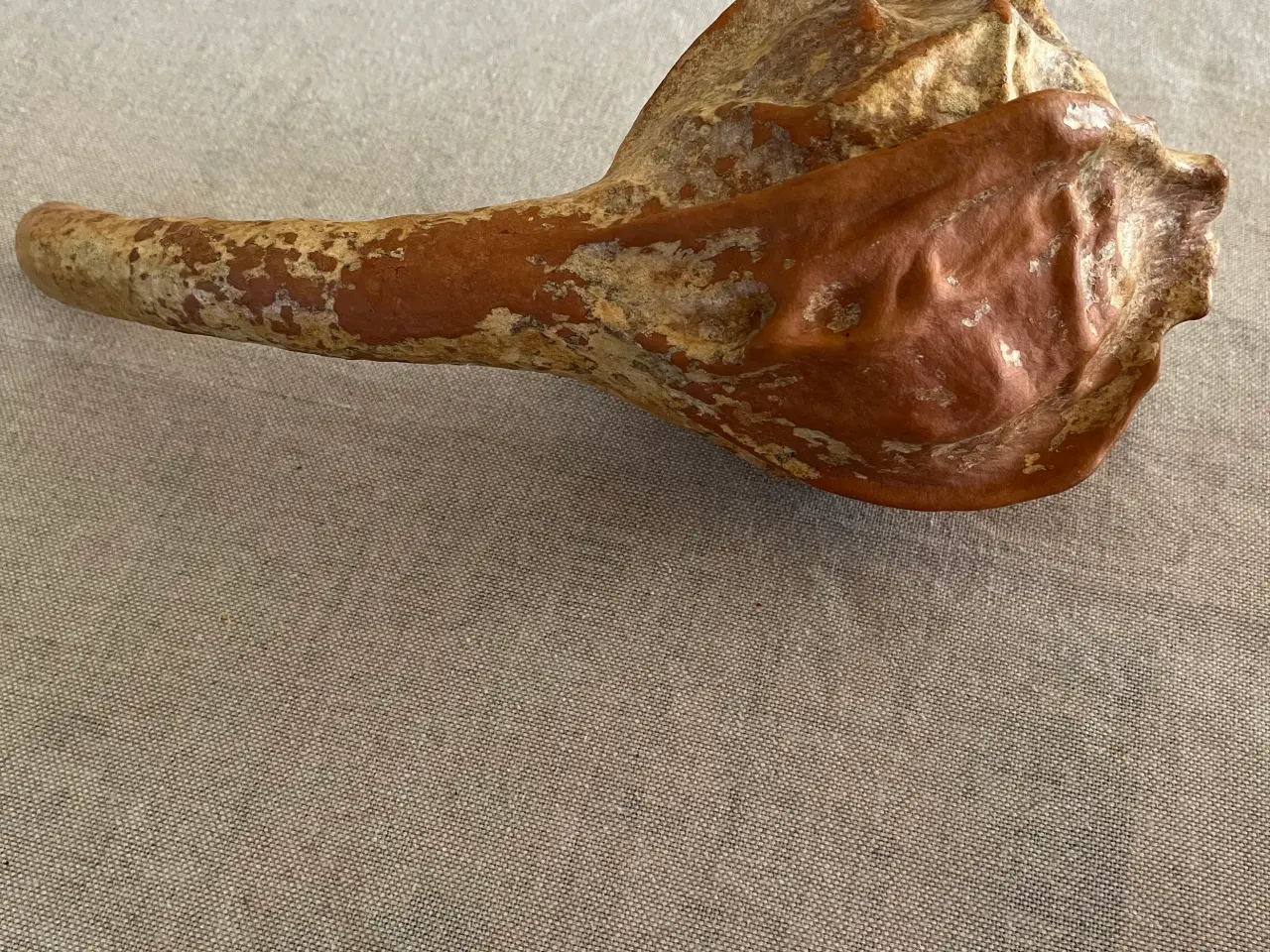 Billede 2 - Calebasse til kunstfremstilling