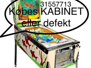 Flippermaskine kabinet