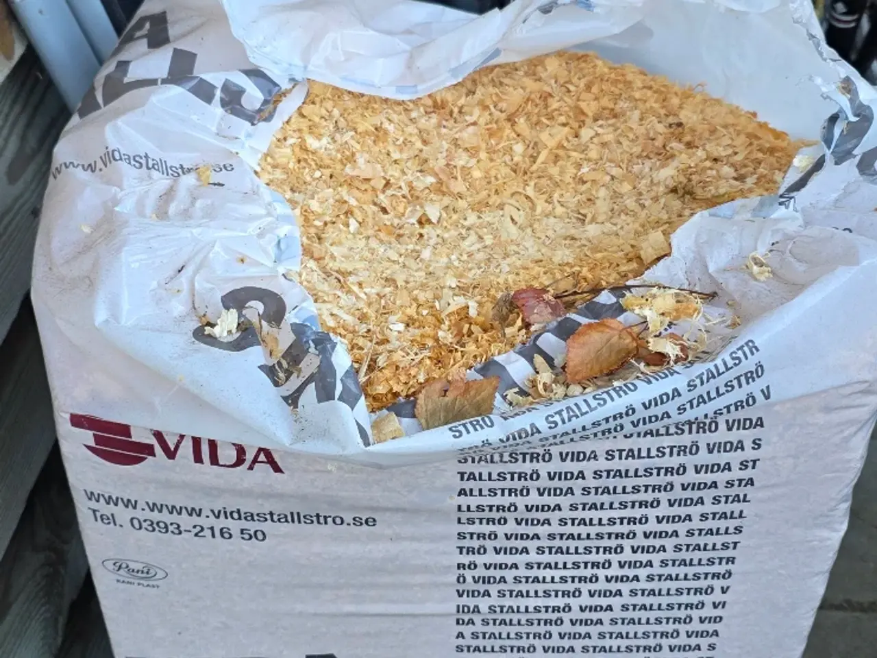 Billede 4 - Kaniner søger nyt hjem