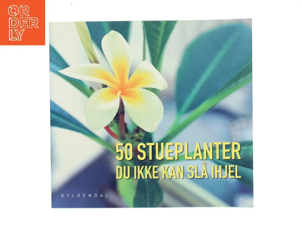 Billede 1 - 50 stueplanter du ikke kan slå ihjel (Bog)