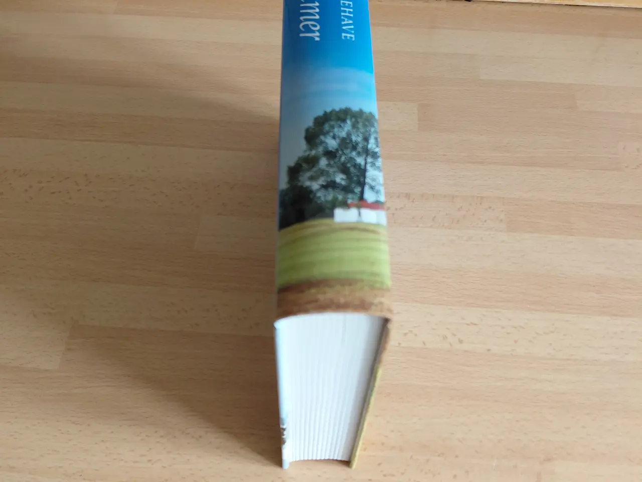 Billede 3 - Danske salmer - Nyt eksemplar.